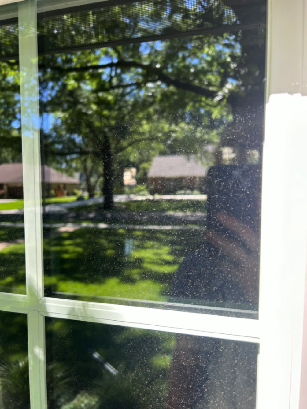 Before cleaning — Real customer window — before and after cleaning